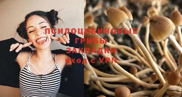 бошки Киреевск